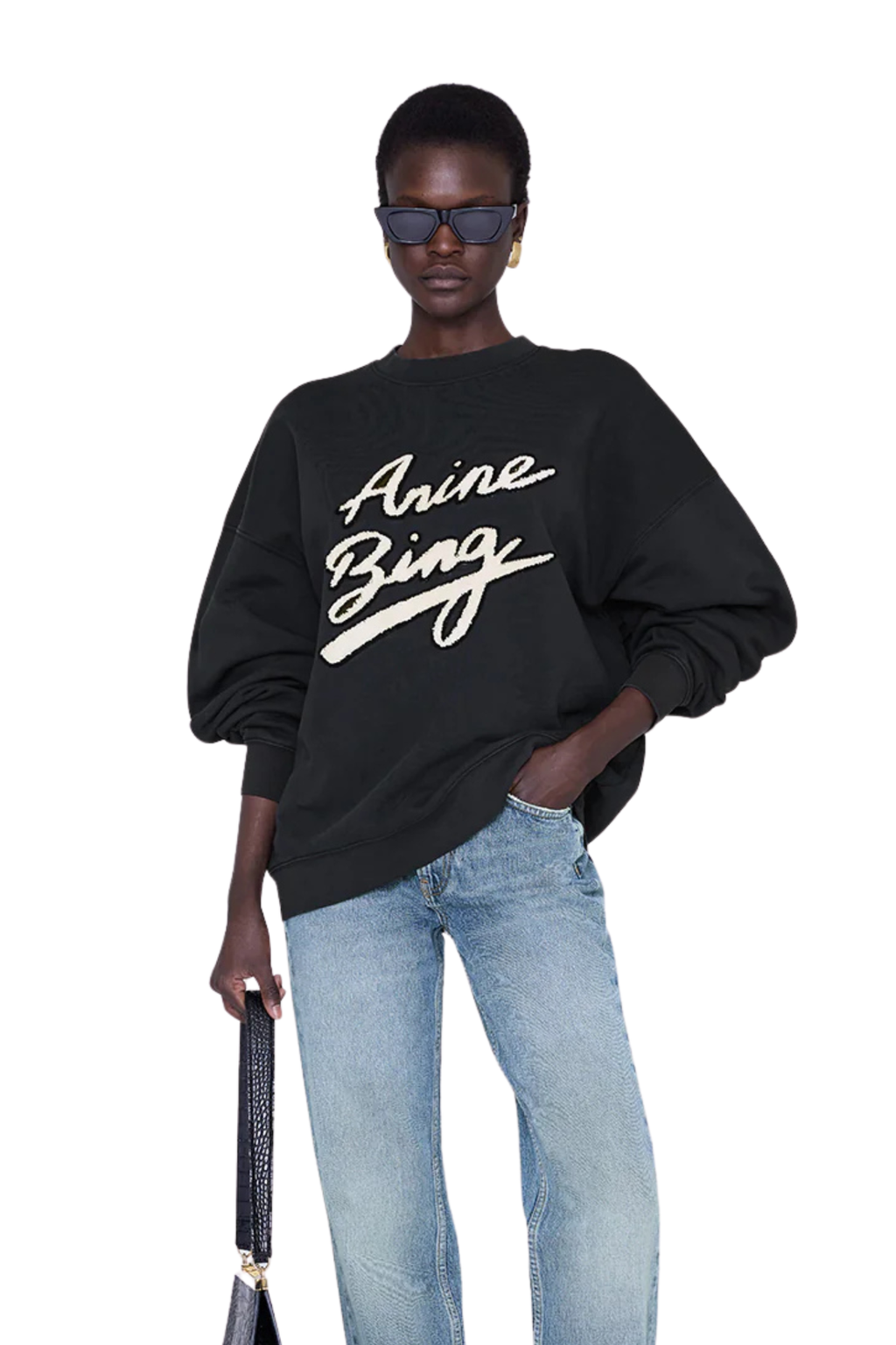 Anine Bing Miles Sweatshirt in Chenille Signature – Oliver