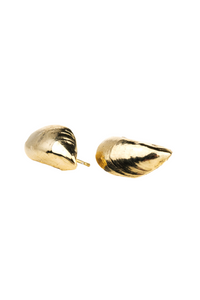 Mollusk Shell Earrings 10k